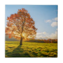 Suche nach feuer fliesen Herbst