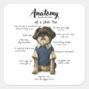 Suche nach shihtzu aufkleber Niedlich