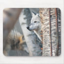 Suche nach graue wölfe mousepads Natur