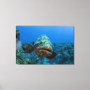 Suche nach kuba leinwandbilder Karibisch