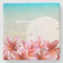 Suche nach tropen untersetzer Jede person