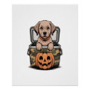 Suche nach brauner hund poster Lustig