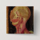 Suche nach menschliche anatomie buttons 16