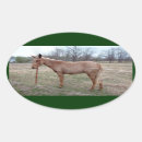 Suche nach maultiere aufkleber Pferd