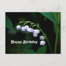 Suche nach maiglöckchen postkarten Blumig