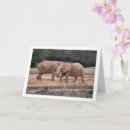 Suche nach afrikanischer elefant karten Für alle