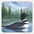 Suche nach loon aufkleber Für alle