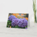 Suche nach lila hydrangeas karten Für sie
