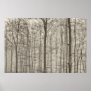 Suche nach nature photography poster Trees