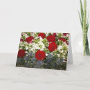 Suche nach red roses karten Jede person