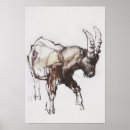 Suche nach steinbock poster Die studie zeichnen