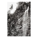 Suche nach schwarzer baum poster Fotografie