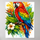 Suche nach tropischer papagei poster Exotischer vogel