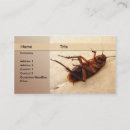 Suche nach exterminator visitenkarten Hinterwelle