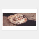 Suche nach versteinertes holz aufkleber Arizona