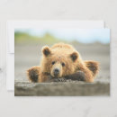 Suche nach grizzlybär karten Wild lebende tiere