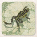 Suche nach grüner frosch untersetzer Kröte