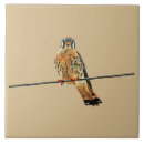 Suche nach falke fliesen Jede person