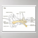 Suche nach diagramm büro zubehör Ausbildung