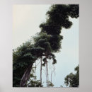 Suche nach baumstamm poster Ast