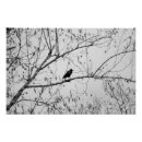 Suche nach birkenbaum poster Natur