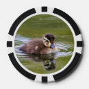 Suche nach vogel poker chips Tiere