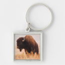 Suche nach amerikanischer bison schlüsselanhänger Kuh