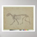 Suche nach stubbs poster 1724 1806
