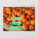 Suche nach florida orangen postkarten Früchte