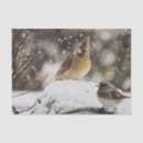 Suche nach schnee seidenpapier Ferien
