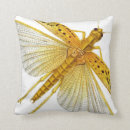 Suche nach wanzen kissen Insekten