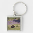 Suche nach amerikanischer bison schlüsselanhänger Stehend