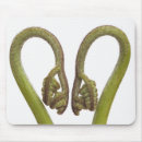 Suche nach farn mousepads Pflanzen