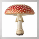 Suche nach roter pilz poster Fliegenagar
