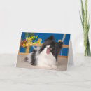 Suche nach papillon hund Hunde