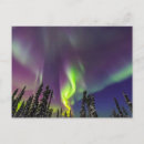 Suche nach fairbanks postkarten Aurora