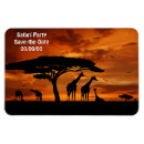 Suche nach afrikanische magnete Jede person