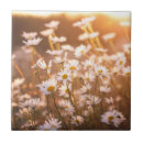 Suche nach gänseblümchen fliesen Mit blumen