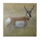 Suche nach geld fliesen Jede person