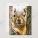 Suche nach squirrel postkarten Glücklich