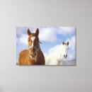 Suche nach pferdebilder leinwandbilder Natur