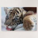 Suche nach bengalisch puzzle Wild
