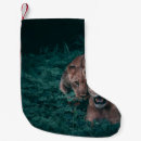 Suche nach löwe weihnachts strümpfe Niedlich