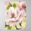 Suche nach rosa magnolie poster Blume