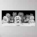 Suche nach playing card poster Katze