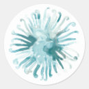 Suche nach seeigel aufkleber Blau