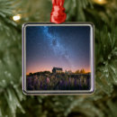 Suche nach lupinen ornamente Galaxie