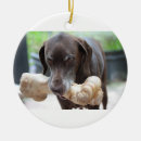 Suche nach knochen ornamente Verzierung