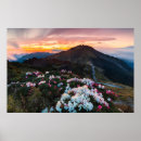 Suche nach mountain landscape poster Meadow