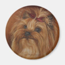 Suche nach yorkshire terrier magnete Hunde